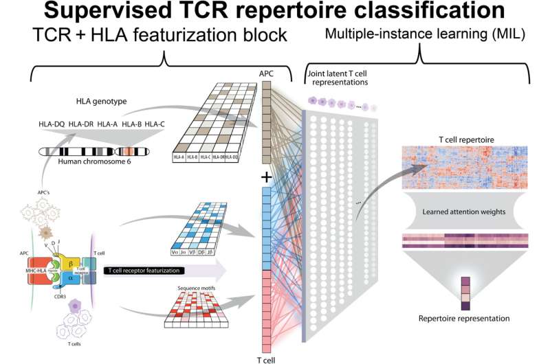 Machine learning can help predict patient response to cancer immunotherapy