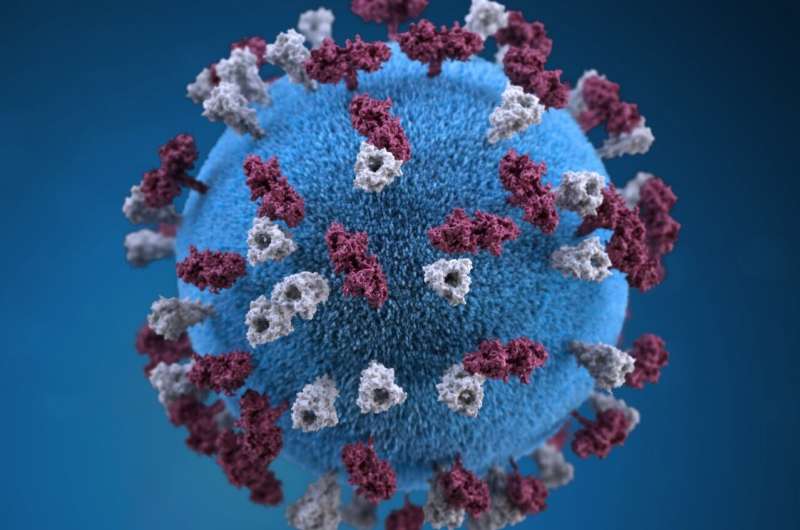 Researchers map how measles virus spreads in human brain