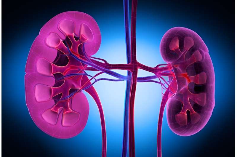 No improvement noted in Black-white kidney transplant rate ratios