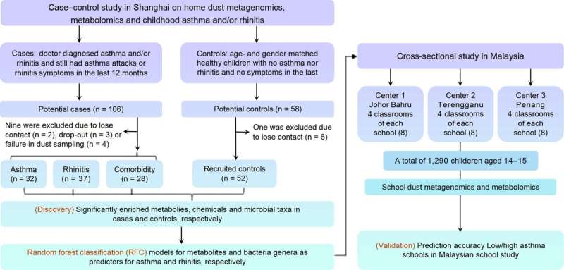 Groundbreaking study reveals indoor metabolites as key indicators in asthma and allergic rhinitis