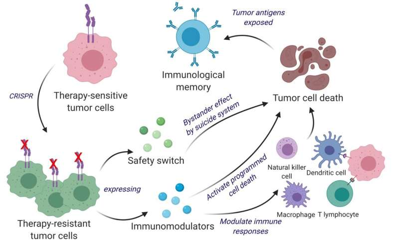 Scientists develop a cancer vaccine to simultaneously kill and prevent brain cancer