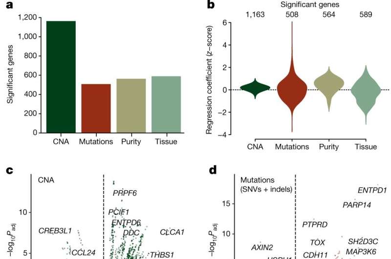 Looking at the role epigenetics plays in the ways cancer behaves