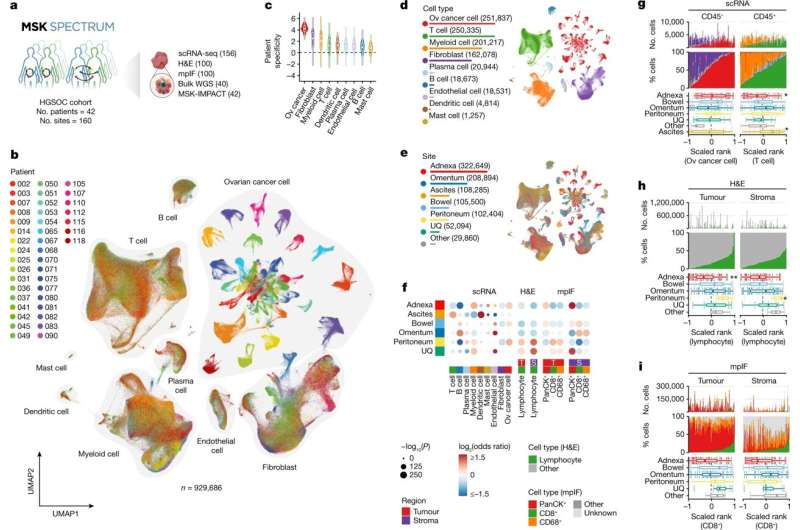 Examining resistance to immunotherapy in ovarian cancer