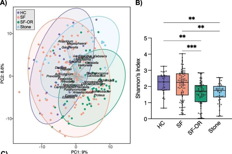 New study sheds light on the connection between the microbiome and kidney stones