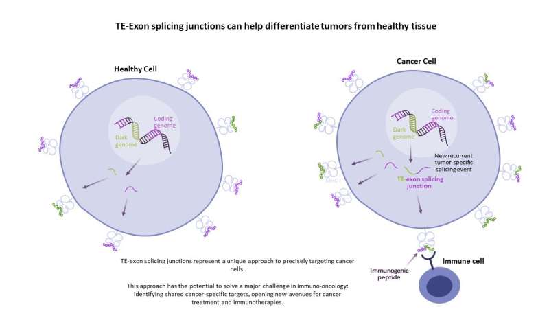 Mnemo Therapeutics and Institut Curie announce two key publications in Science Immunology highlighting novel approach to identif