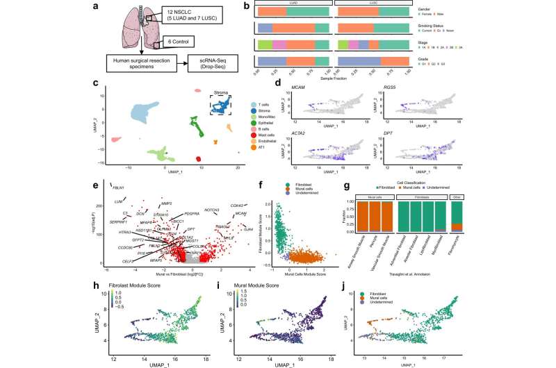 Scientists discover key 'culprits' in major lung cancer study