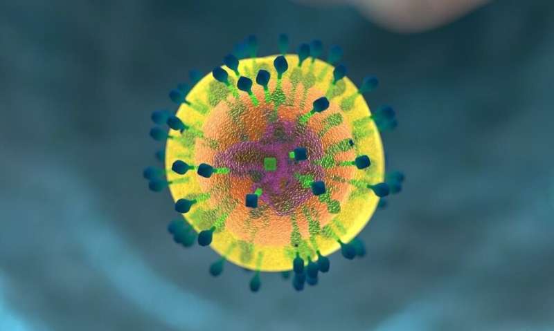 T cell