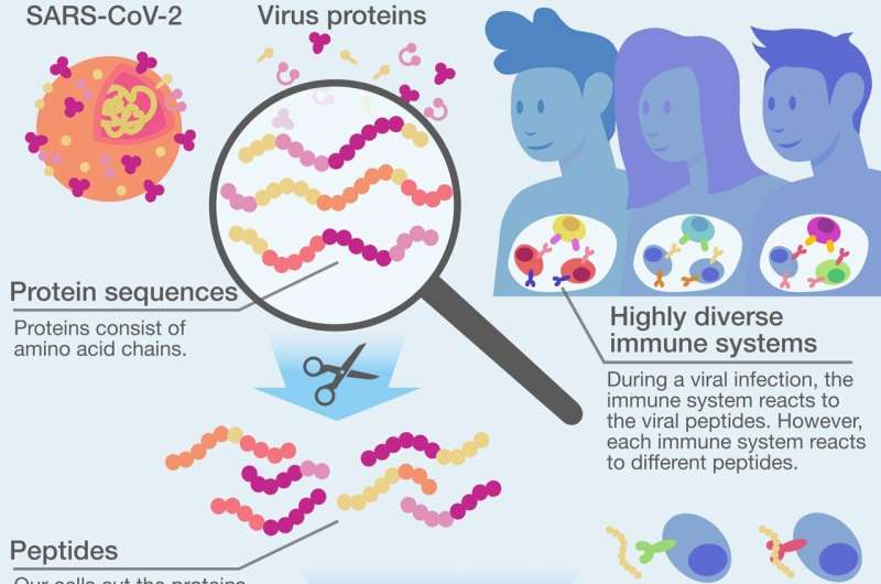 &quot;Honey, I shrunk the cookbook&quot;—New approach to vaccine development