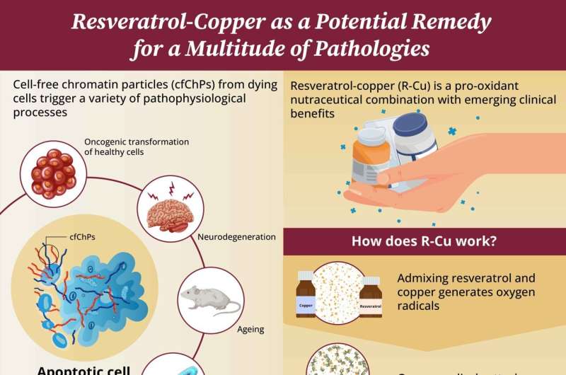 Exploiting the synergy of nutraceuticals for cancer prevention and treatment