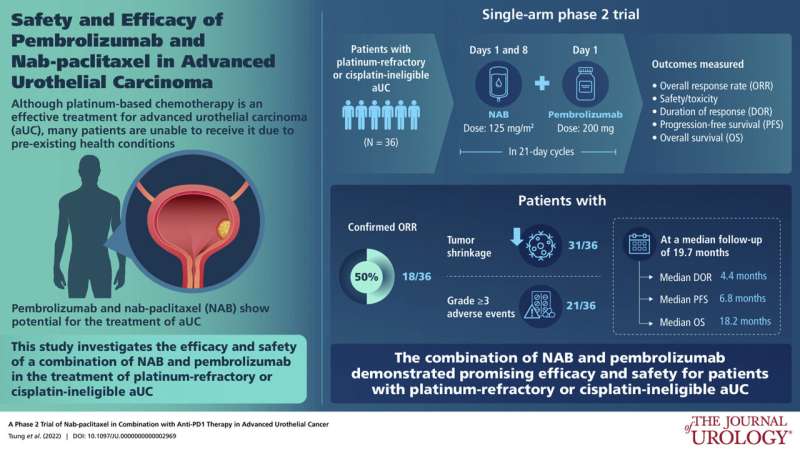 Cutting-edge combination shows promise in patients with chemotherapy-resistant urothelial cancer