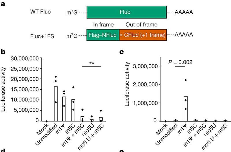 mRNA COVID vaccines make 'unintended proteins'—researchers discover how to fix this problem