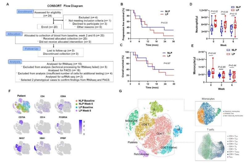 Patients with brain cancer may benefit from treatment to boost white blood cells