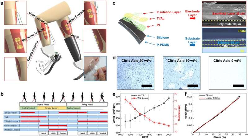 Research team develops new technology for robotic prosthetic leg control