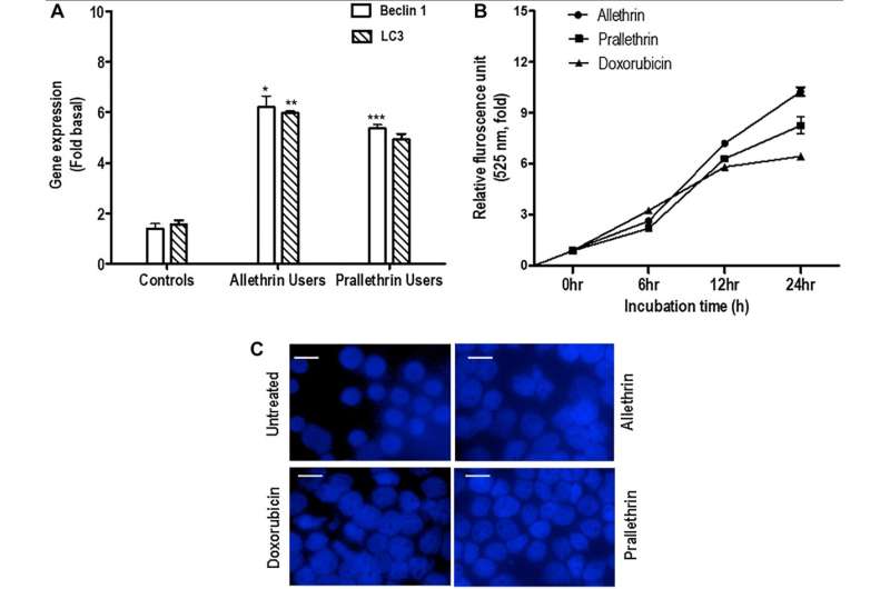 Oncotarget | The role of pyrethroid derivatives in autophagy and apoptosis crosstalk signaling and potential risk for malignanci