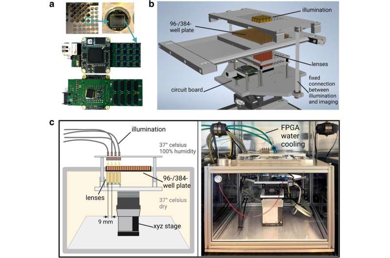 Multi-lens array microscope microscope and AI enable faster migration analysis of immune cells