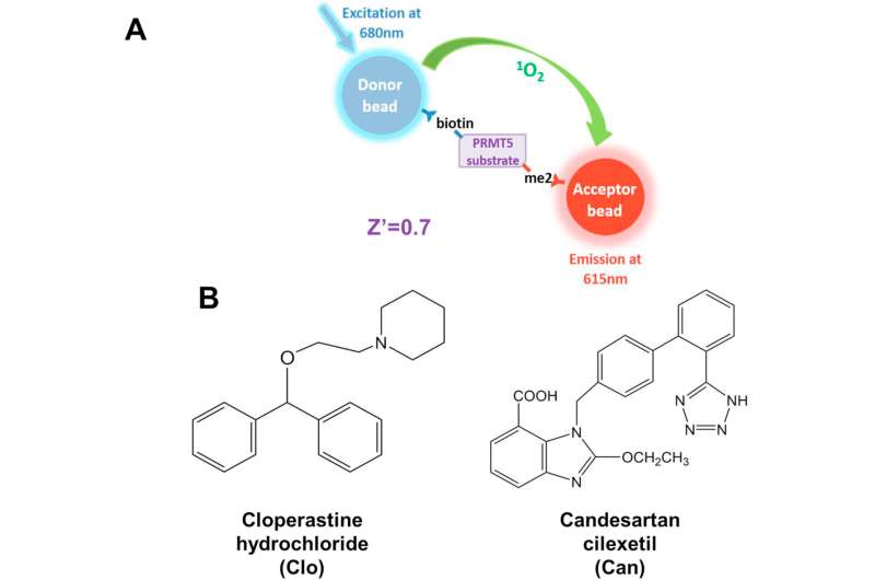 Inhibition of prmt5 by repurposing market drugs - a fresh therapeutic pathway for cancer treatment