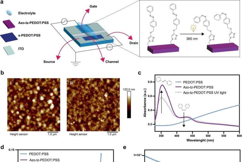 Development of a retina-like biochip