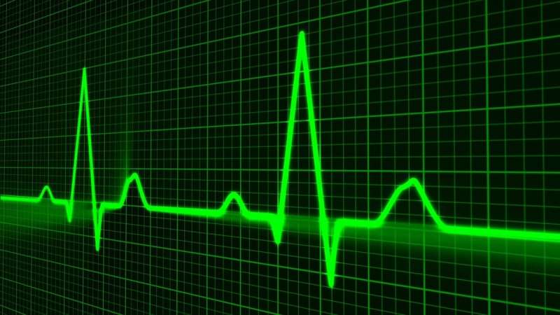 Experimental pacemaker converts heartbeat energy to recharge battery