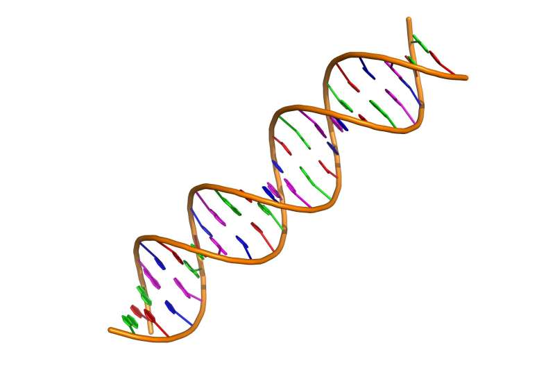 DNA