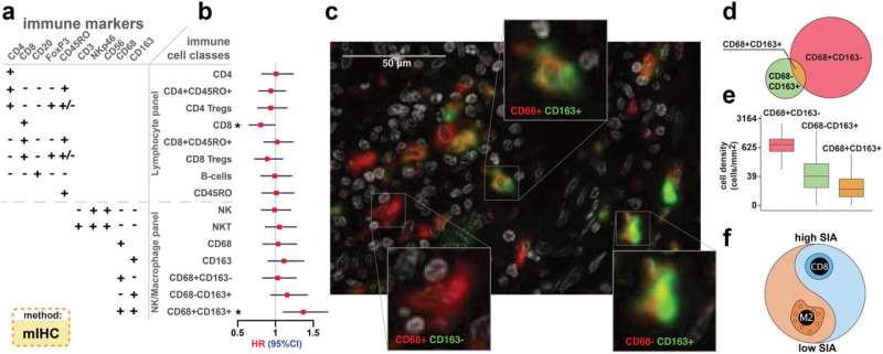 Method that uses combination of immune cells could provide clearer prognoses