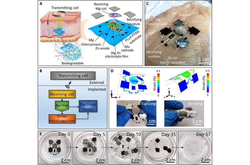 A soft implantable supercapacitor that can be used to power implantable devices