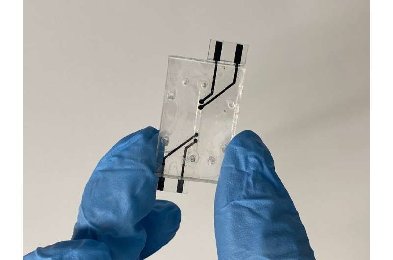 Scientists incorporate electrodes with beneficial features into customizable organ-on-a chip device