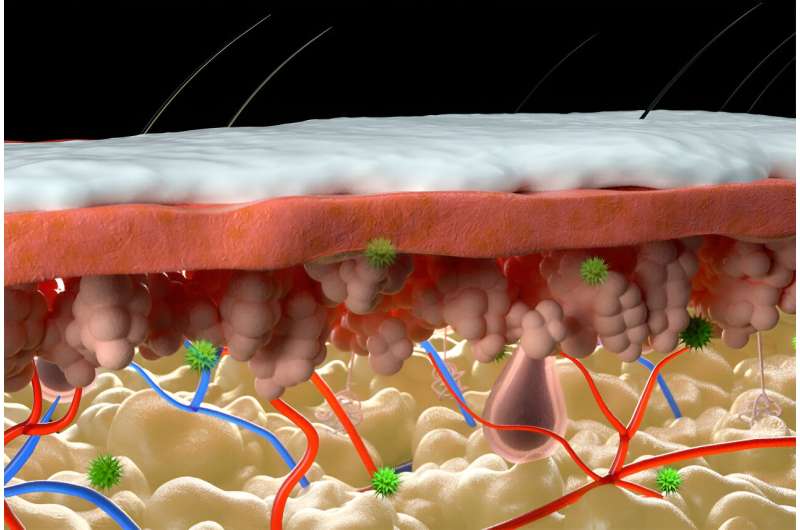 'Super melanin' heals skin injuries from sunburn, chemical burns