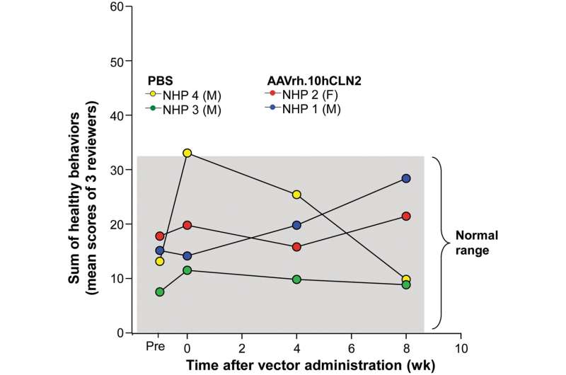 Advances in gene therapy for CLN2 batten disease