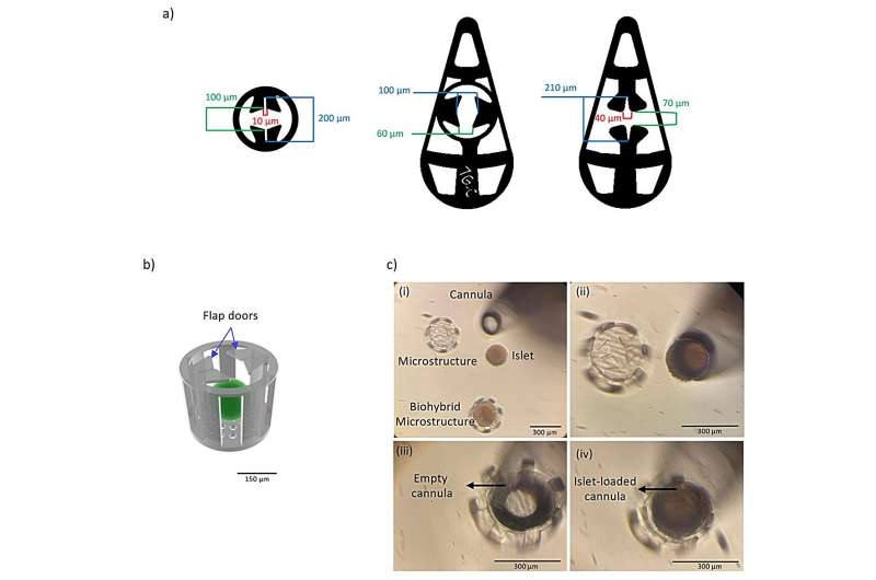 Eye implant may be used to treat diabetes and other diseases