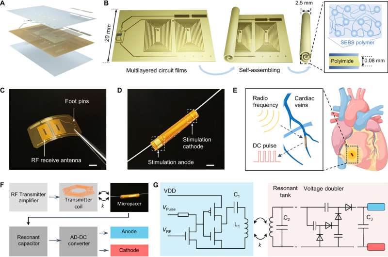 Research team devises an implantable wireless cardiac pacemaker