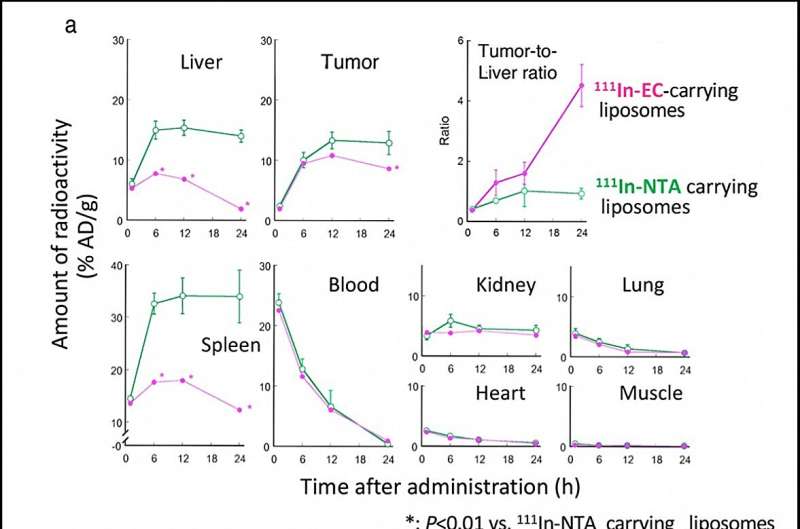 Researchers develop new method that precisely targets cancer lesions while protecting healthy tissues