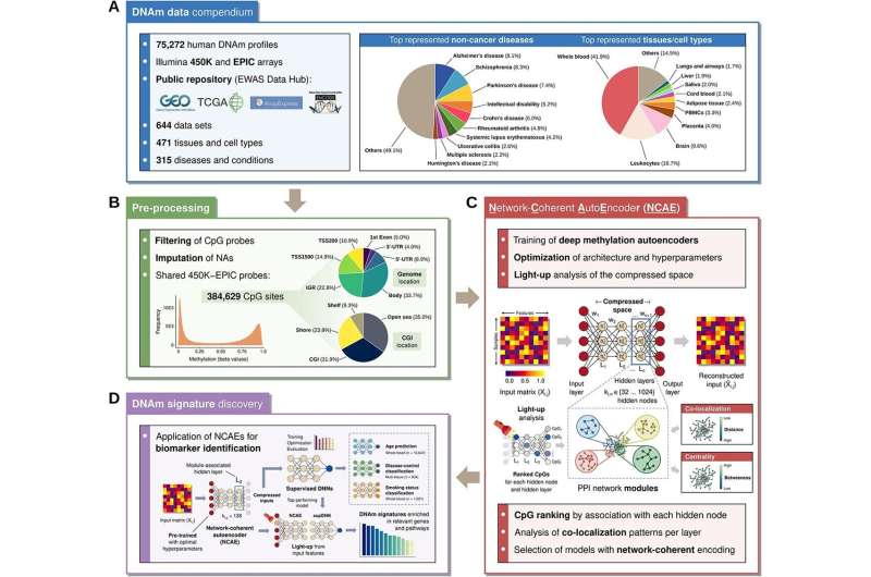 A step towards AI-based precision medicine