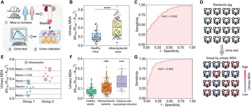 Oxidative stress biomarker triggered multiplexed instrument to diagnose atherosclerosis