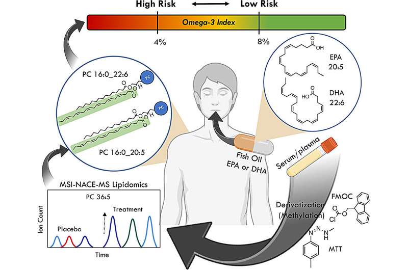 Omega watch: Researchers develop new blood test for measuring levels of critical omega-3 fatty acids