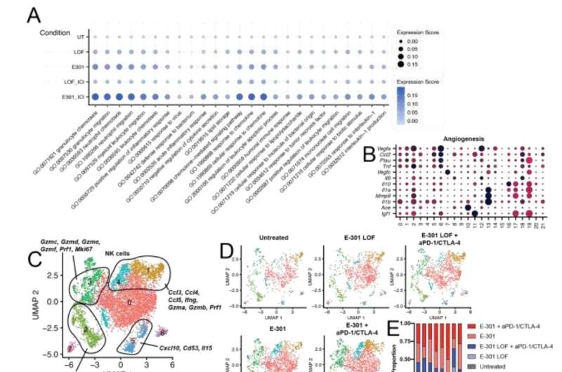 Sugar molecules as a target in cancer therapy