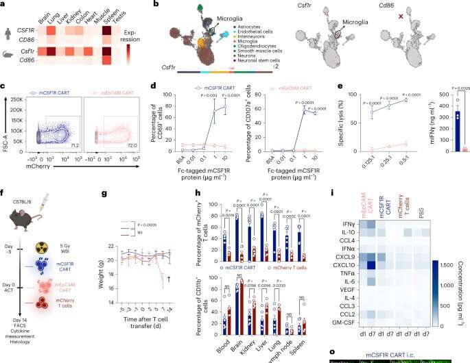 New targets for CAR-T cell therapy against acute myeloid leukemia through AI-assisted analysis