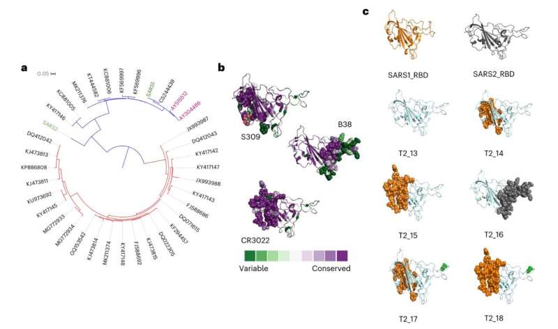 New vaccine technology could protect against future viruses and variants