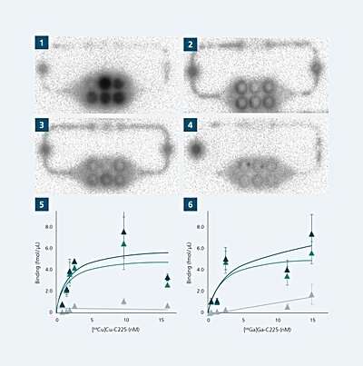 Exploring mini-labs as an alternative to animal testing for evaluating radiopharmaceuticals 