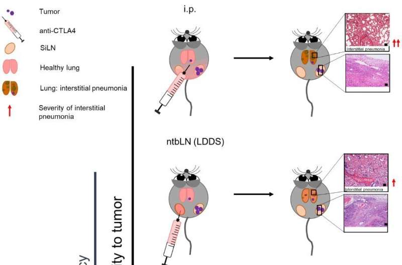 Improving immune checkpoint inhibitors' anti-tumor response and minimizing side effects