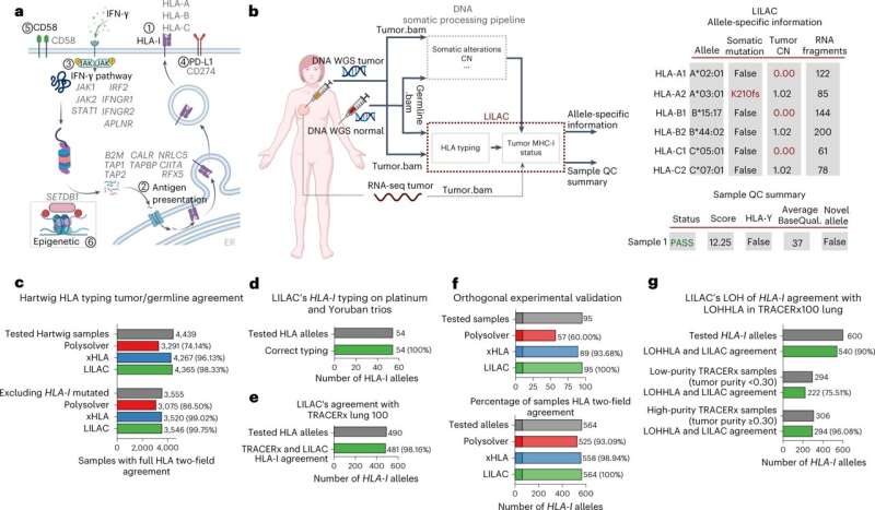 Unique insights into differences between primary and metastatic cancer by large-scale DNA data analyses   