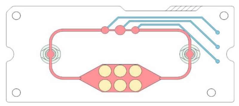 Radioactive substances fight cancer in the mini-lab