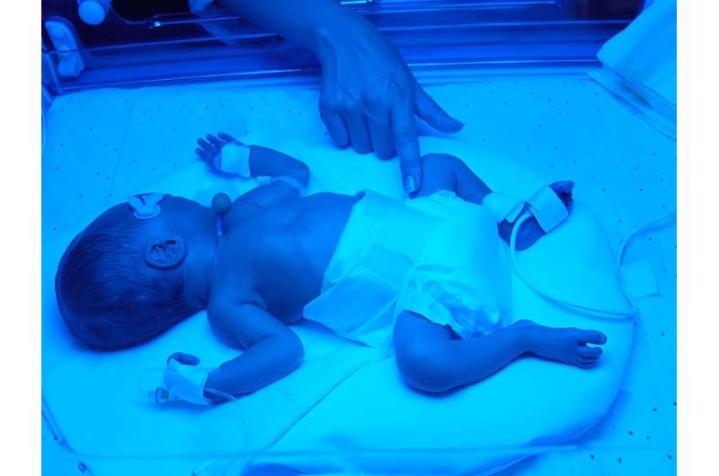 Future of 'artificial wombs' for human preemies to be weighed by FDA advisors