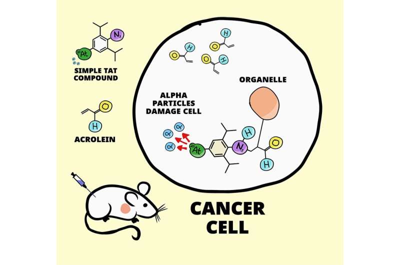 A new generic treatment for multiple types of cancer