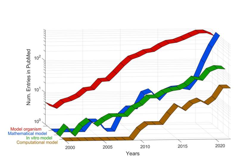 New study categorizes and examines four different types of model related to cancerous tumors