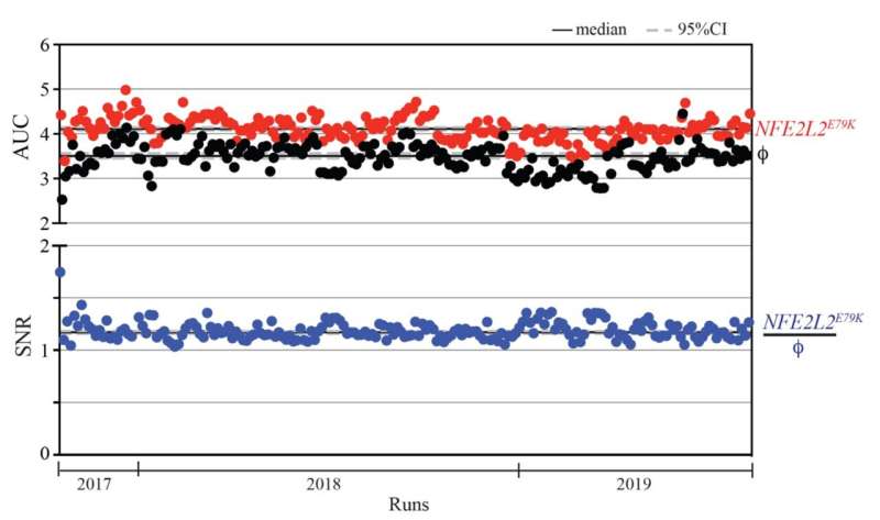 Gene mutations in tumors impact radiation sensitivity