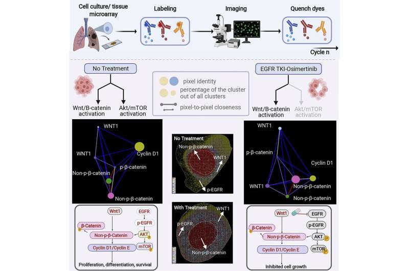 Team develops tools and techniques to explore cancer signals at the subcellular level