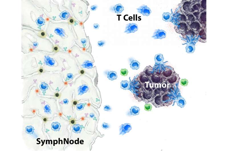 Tiny, implantable therapeutic sponge device helps kill cancer in mice