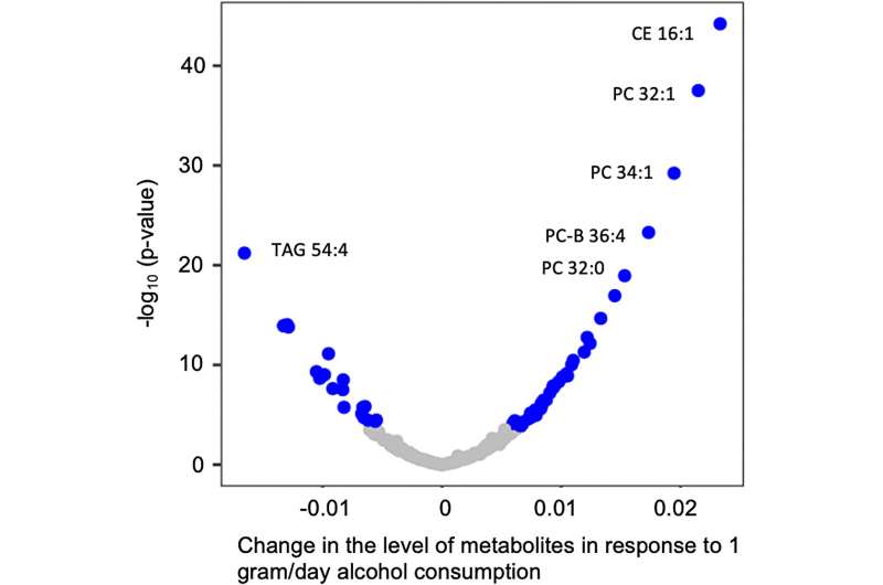 Alcohol consumption may have positive and negative effects on cardiovascular disease risk