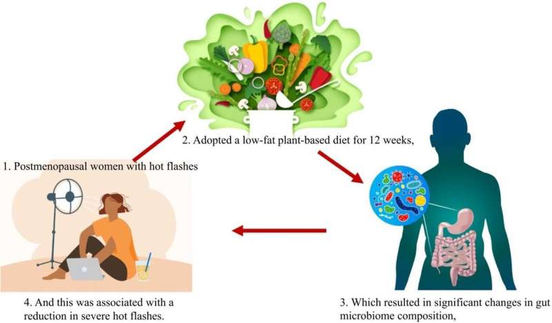 Vegan diet fosters changes in gut microbiome that reduce hot flashes by 95%, finds new study