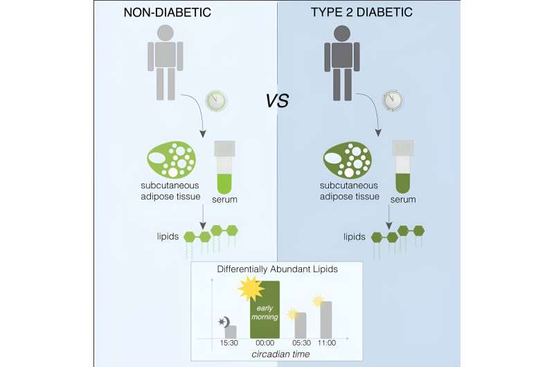 Researchers show how lipids and diabetes are closely linked